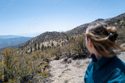 a hiker and conservationist on a trail through Ancient Bristlecone Pine Forest in Bishop, CA photo