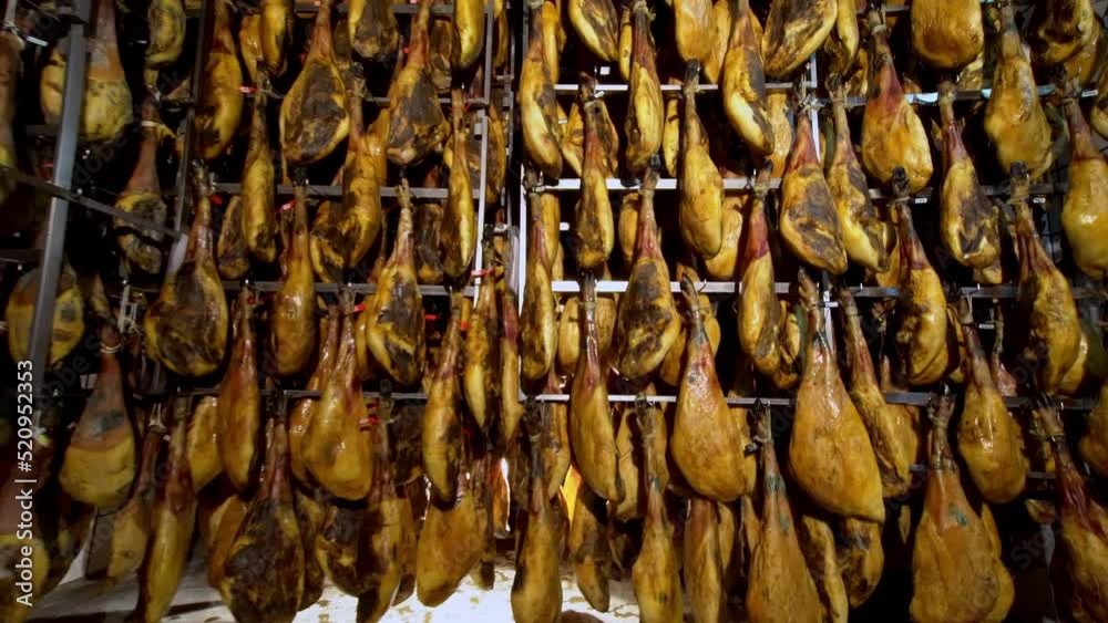 wide unique detailed shoot of rack full of ham legs hanging in a industry  legs of Iberian ham, where it is seen in the reflections of light on the black brown skin of Iberian pig on huge factory full