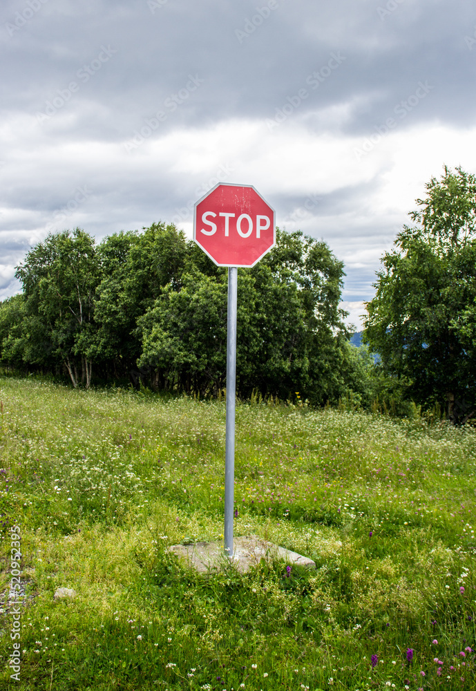 Stop sign on a green meadow. Stop sign in the field