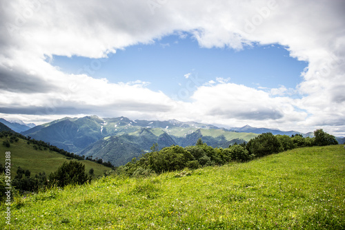 Green meadow and mountain landscape. Summer in the mountains