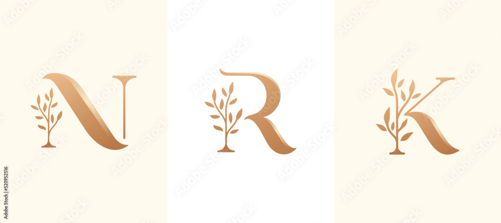Obraz premium set letter n,r,and k initial floral logo design