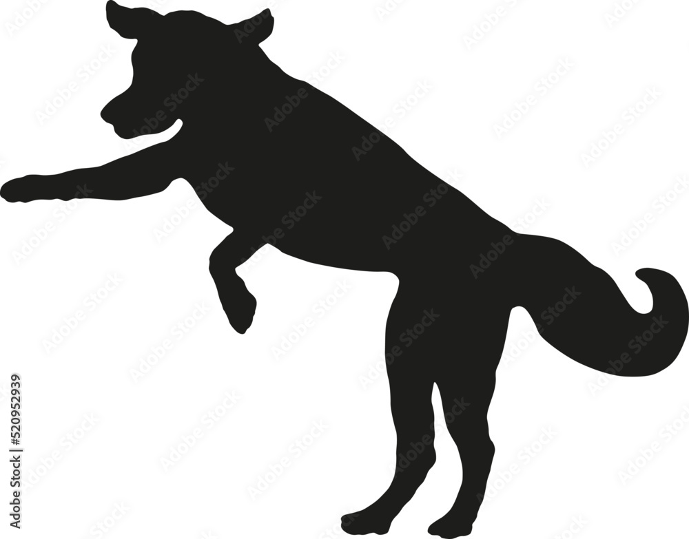 Jumping golden retriever puppy. Black dog silhouette. Pet animals. Isolated on a white background. Vector illustration.
