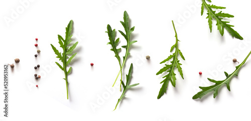 art Fragrant Seasonings And Spices On White Background. Italian Cooking background