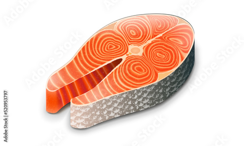 Salmon higly detailed fillet vector illustration. Wild alaskan trout fish fillet design for any purposes. Healthy superfood.