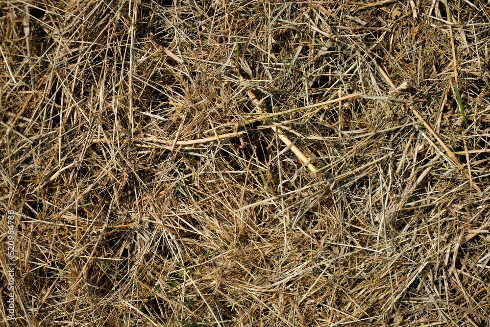 climate change lead to dryness and drought at high temperatures climate change lead to dryness and drought at high temperatures