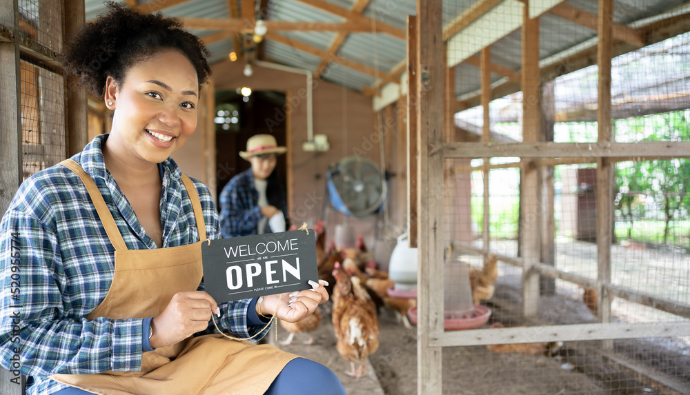 Young attractive woman farmer picking fresh eggs in henhouse.Female farmer feeding chickens from bio organic food in the farm chicken coop. Floor cage free chickens is trend of modern poultry farming. Young attractive woman farmer picking fresh eggs in henhouse.Female farmer feeding chickens from bio organic food in the farm chicken coop. Floor cage free chickens is trend of modern poultry farming.