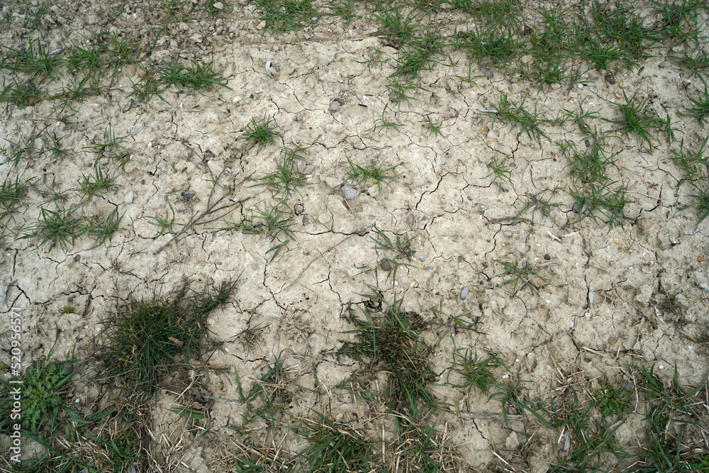 Naklejka premium climate change lead to dryness and drought at high temperatures 