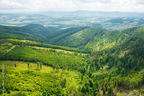 Aerial view of amazing landscape with high trees on the hills in a summer sunny day, Dolni Morava, Czech Republic.