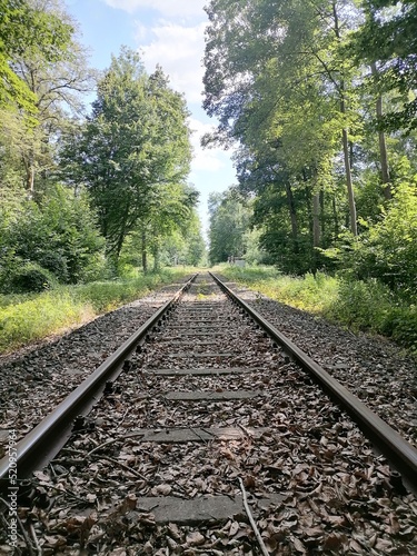 railway in the forest