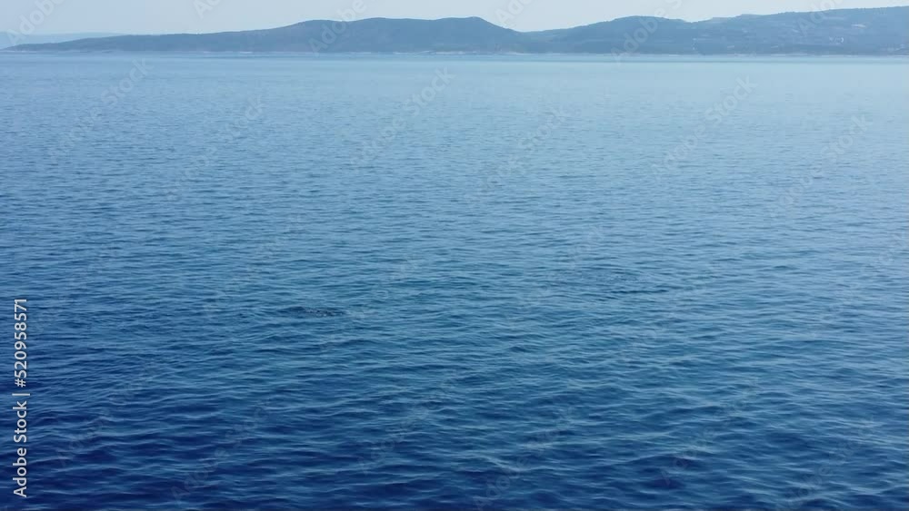 a group of Adriatic dolphins filmed from the lift, with the island of brac in croatia in the background a group of Adriatic dolphins filmed from the lift, with the island of brac in croatia in the background