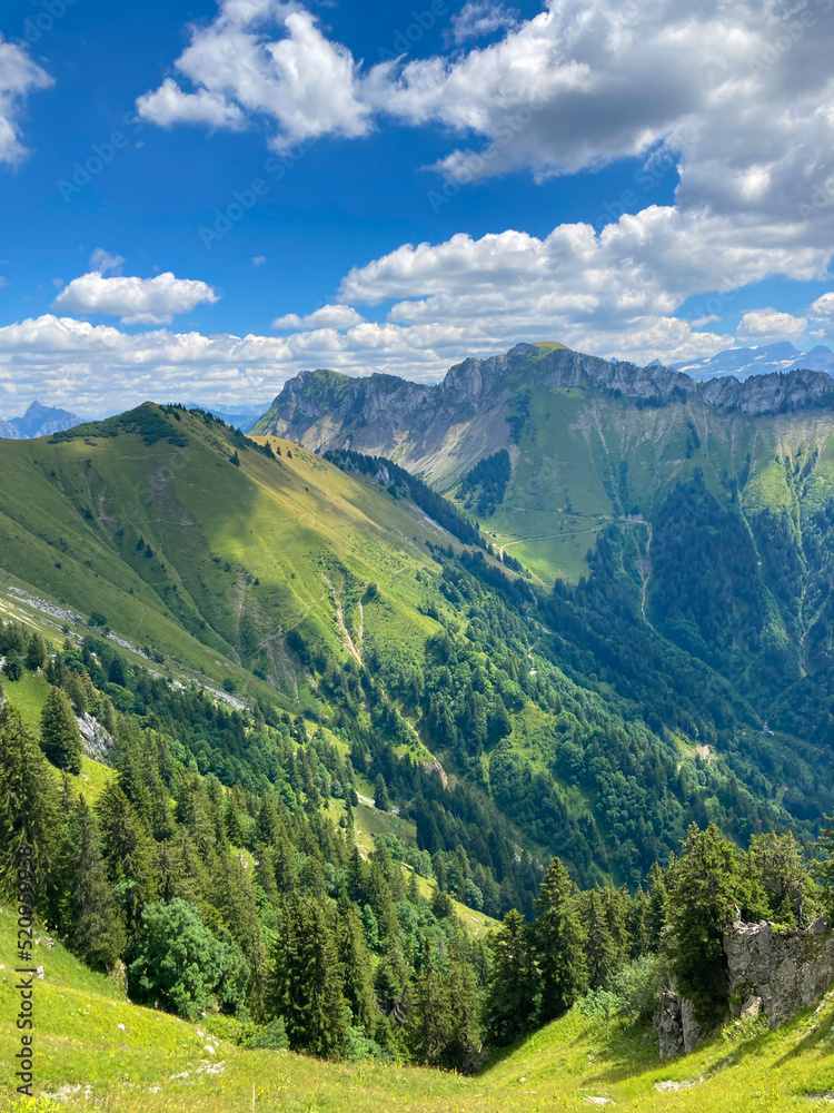 Fototapeta premium Montreux, Switzerland: 01-08-2022: Panorama of the Switzerland Alpine mountains. Ridges, peaks and lake are visible in the background. Beautiful view in the French Canton.