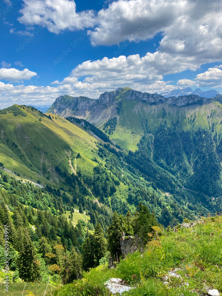 Obraz premium Montreux, Switzerland: 01-08-2022: Panorama of the Switzerland Alpine mountains. Ridges, peaks and lake are visible in the background. Beautiful view in the French Canton.