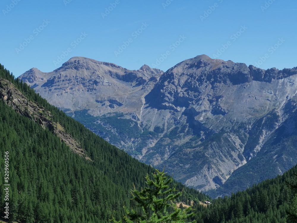 massif des écrins dans les alpes françaises. Montagne rocheuse avec forêts de mélèzes zt d'épicéas sur fond de ciel bleu.