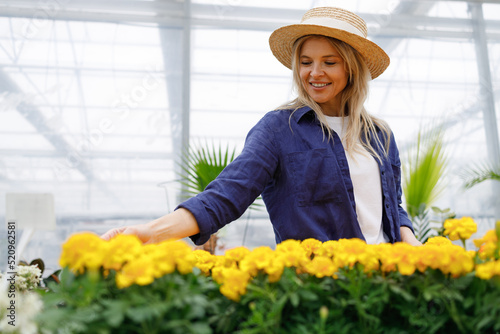 Canvas Print Cute lady looking at yellow marigold flowers in nursery