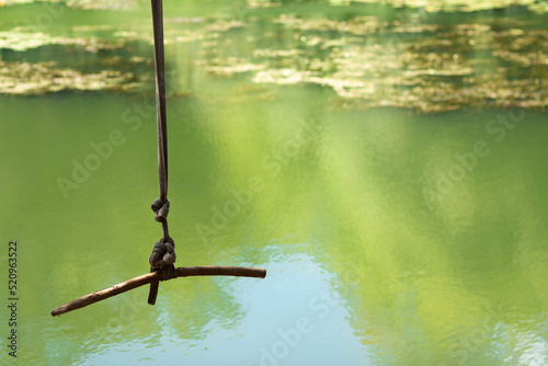 A bungee on a rope hanging down from a tree above the green river with seaweed on the surface.