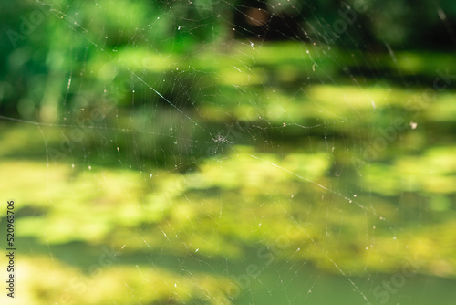 An empty thin spider web against blurry green and yellow river background. Close up macro shot