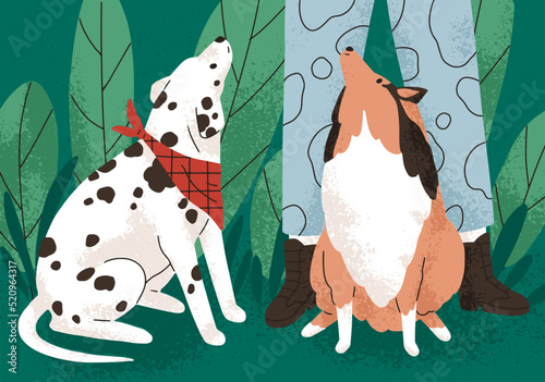 Cute dogs of Sheltie and Dalmatian breeds sitting, begging smth at pet owners legs. Doggies looking up at person during stroll, walk in nature, park. Canine animals outdoors. Flat vector illustration
