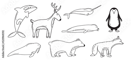 Set of arctic animals. Doodle style. Vector illustration. Cute narwhal, reindeer, polar bear, seal and walrus.