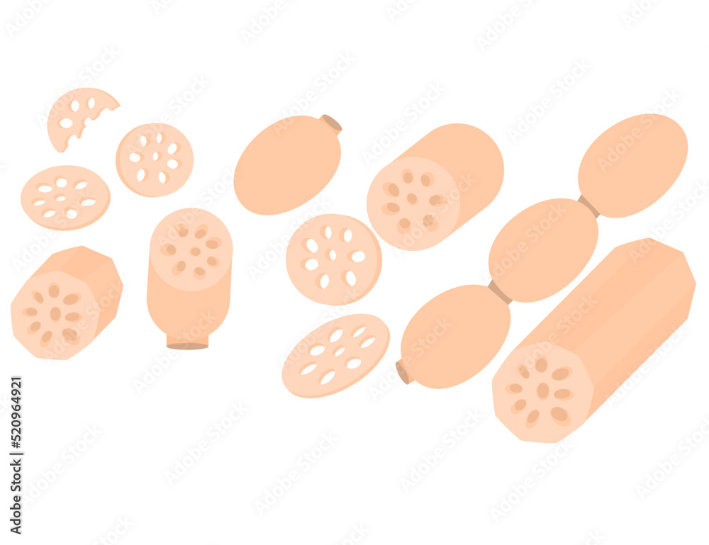 Lotus root is a medicinal herb.Slices of exotic fruit.Chinese traditional herb.Vegetable for making soup.Sign, symbol, icon or logo isolated.Flat design.Clipart.Cartoon vector illustration.Graphic.