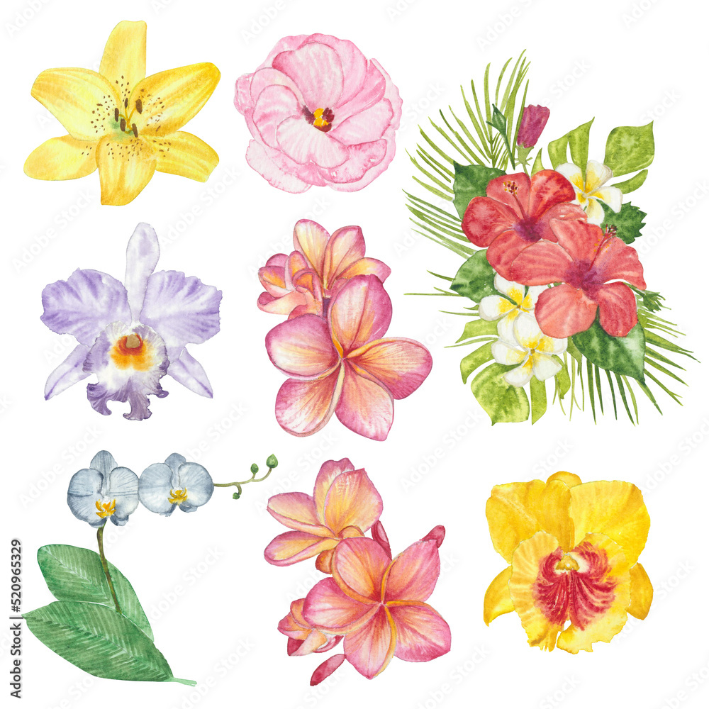 Watercolor flowers floral paint illustration with clipping parts isolated on white background.