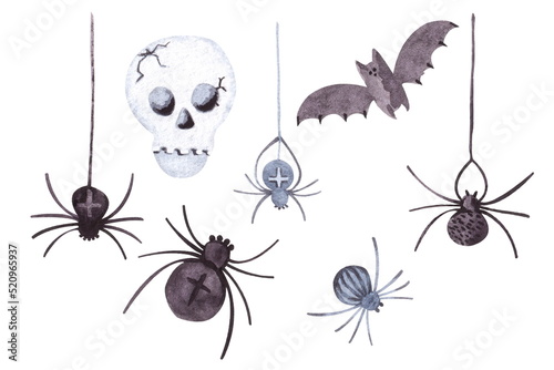 A set of spiders, a skull, a bat. A collection of hand-painted watercolor elements isolated on a white background for Halloween decor. © Volha