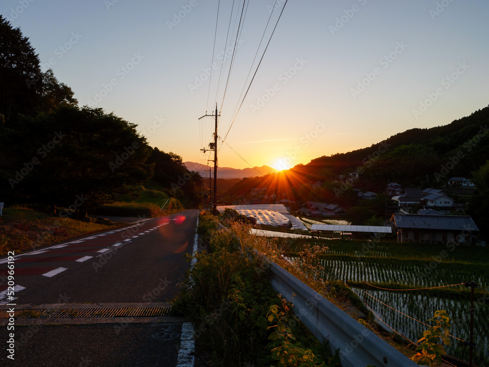 Dusk in a Japanese farming village, paddy fields and roadway illuminated by the setting sun