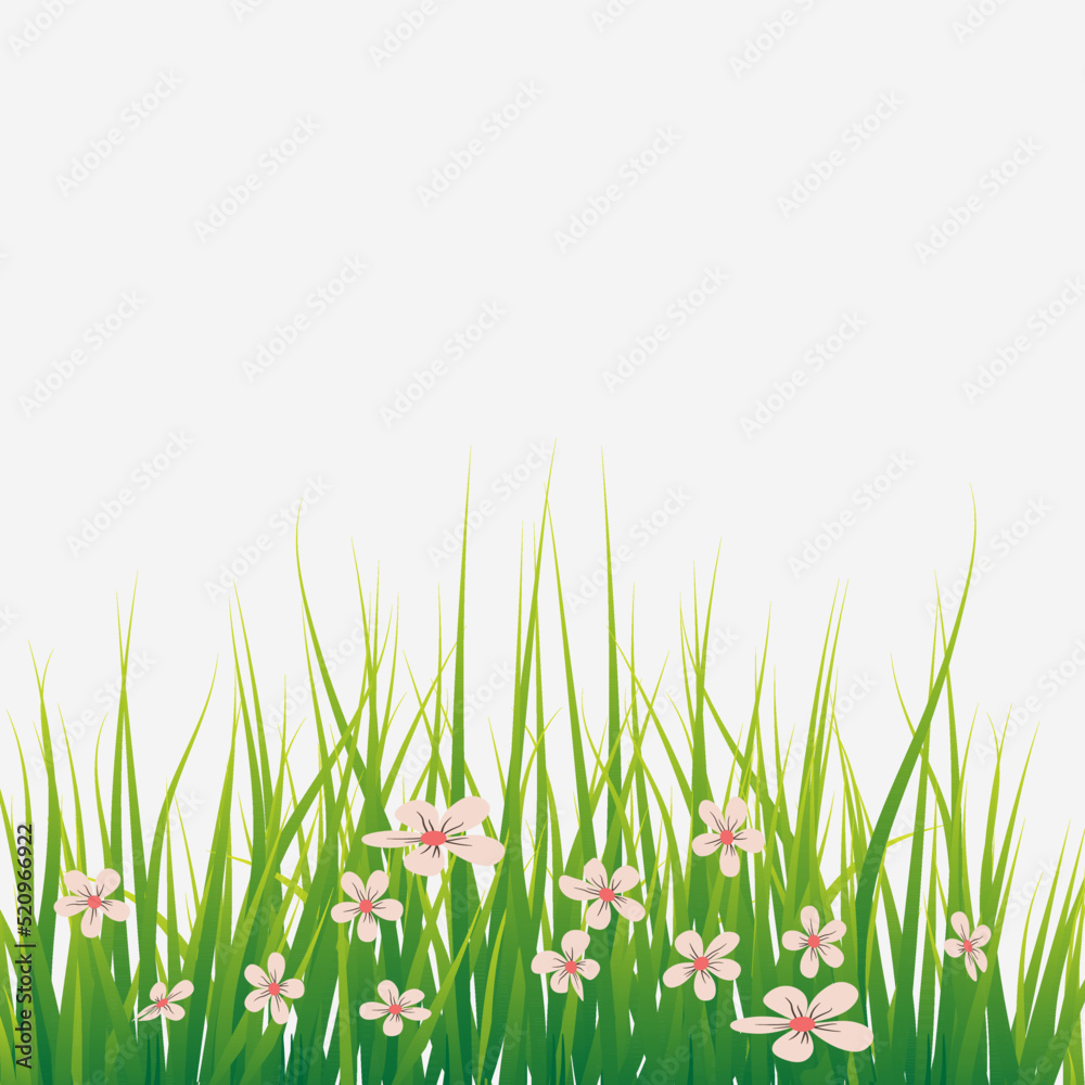 Grass with little pink flowers Grass with little pink flowers