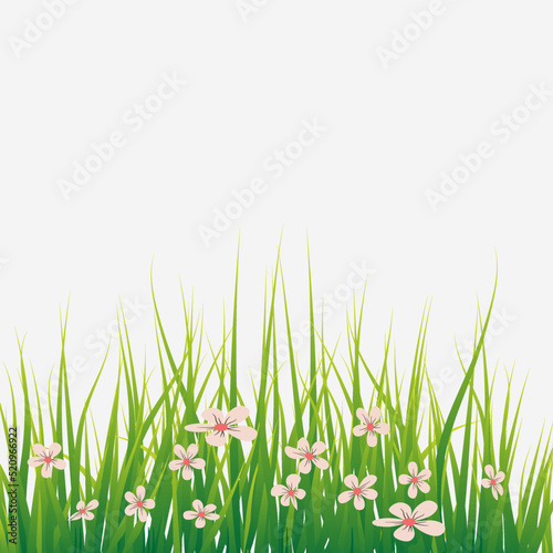 Grass with little pink flowers