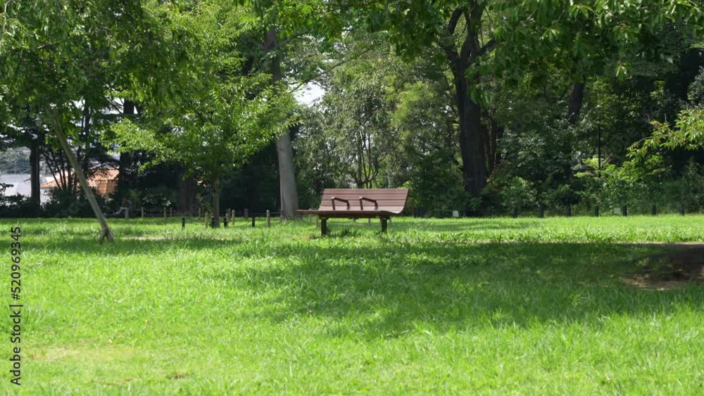 Park bench in the grass Park bench in the grass