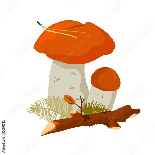 Beautiful wild mushrooms aspen mushrooms in the cartoon style.