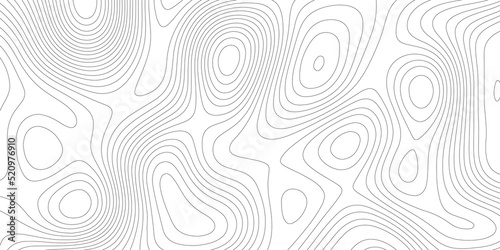 Abstract background with vector monochrome seamless pattern  curved lines  black   white background. Topographic background and texture Wavy backdrop. Cardboard .Topographic background and texture .