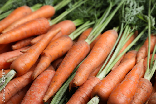 Pile of tasty raw carrots as background, closeup