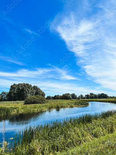 Fototapeta Naklejka Na Ścianę i Meble -  Summer rural river landscape on a sunny day. Countryside panorama with grass, trees and sky in Europe.