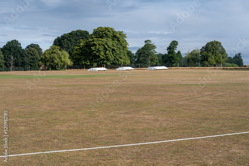 Brown Cricket pitch in July 2022