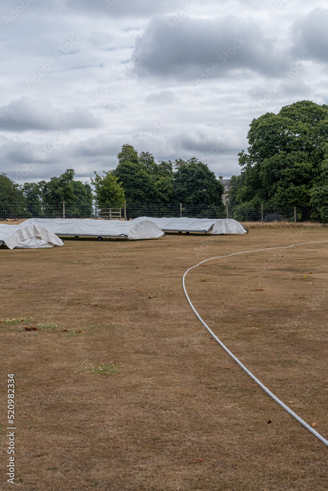 Brown Cricket pitch in July 2022