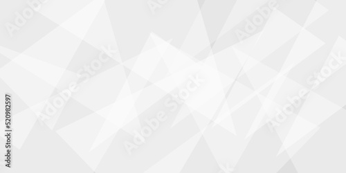 Abstract background with gray background with texture, white abstract modern background. Geometry shine and layer element vector for presentation design. Decorative web layout or poster, banner.design