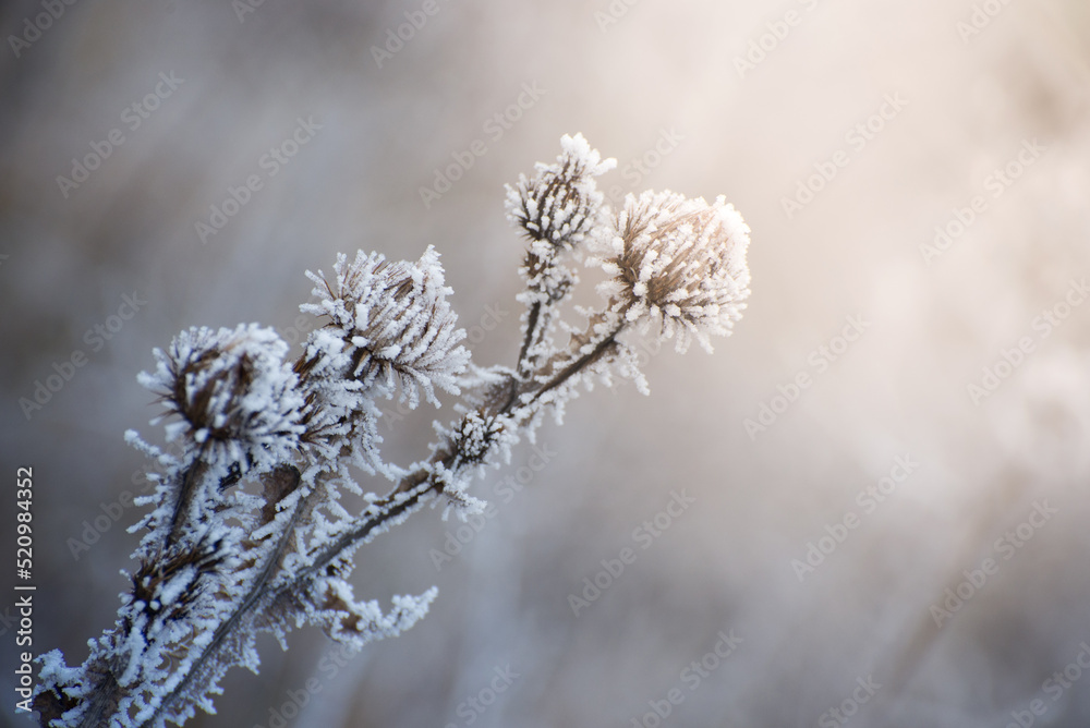 Beautiful winter landscape with Girskiy Tikych river running through frosted trees and rocks. Beautiful winter landscape with Girskiy Tikych river running through frosted trees and rocks.