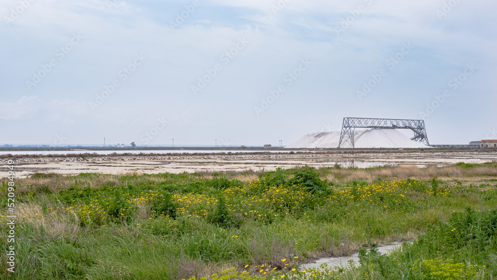 Salt pan of Margherita di Savoia. Apulia, Italy. salt processing. Salt pan of Margherita di Savoia. Apulia, Italy. salt processing.
