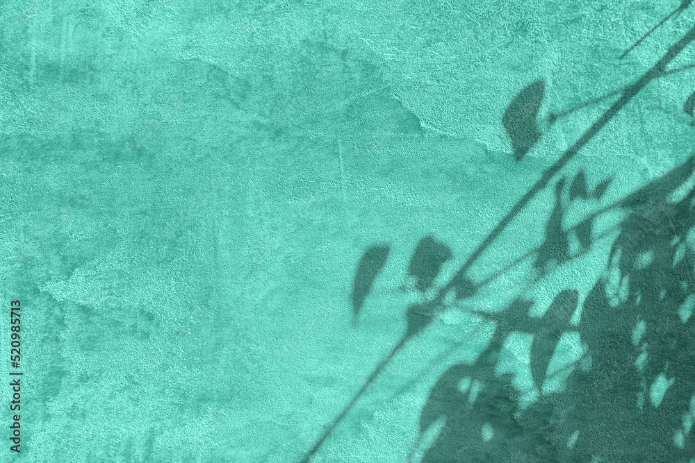 Abstract tree leaves shadows on mint green concrete wall texture with ...