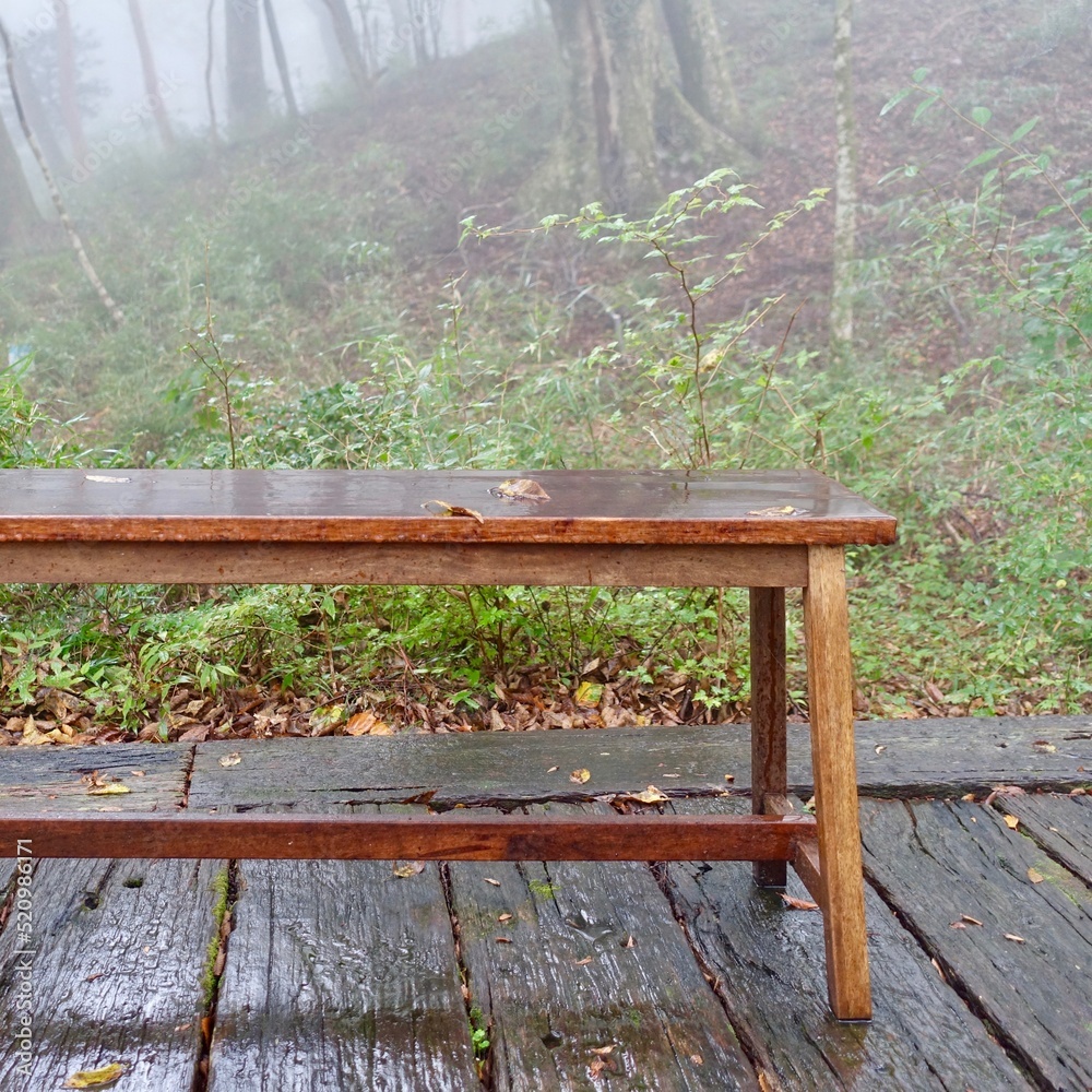 森に置かれた木製のベンチ