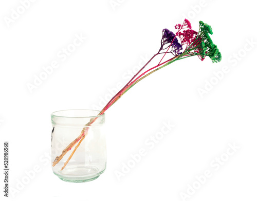 Colorful flowers in glass isolated on white background in minimalist style