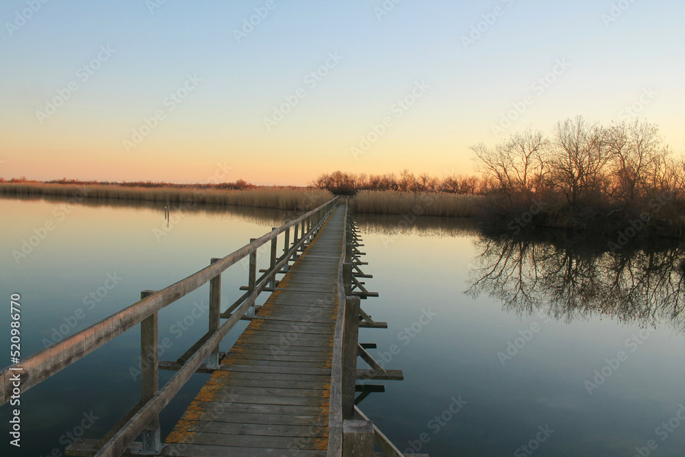 Wooden pontoon in the marshes of Candillargues pond in the south of Montpellier
