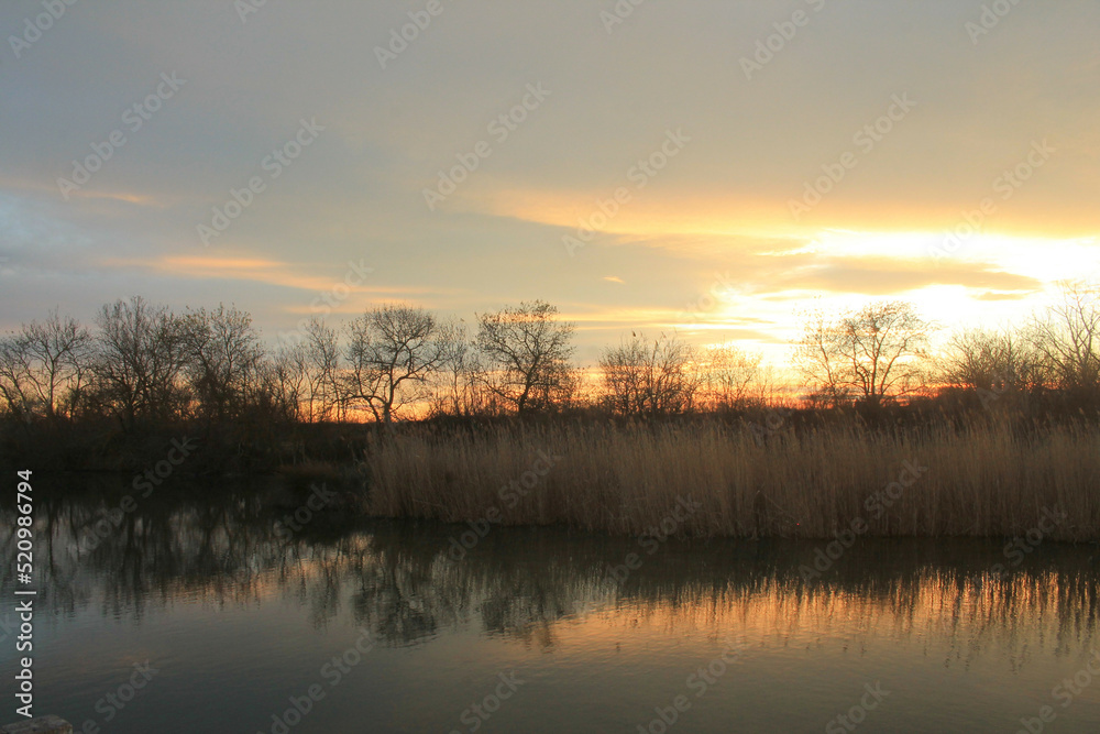 Obraz premium Etang de l'or, natural lagoon near Montpellier in Languedoc Roussillon, Occitanie, France 