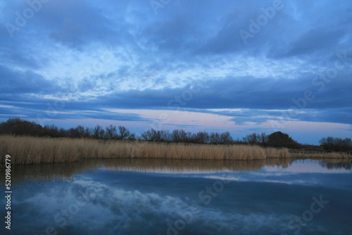 Etang de l or  natural lagoon near Montpellier in Languedoc Roussillon  Occitanie  France 