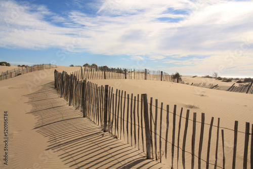 Natural and wild beach with a beautiful and vast area of dunes, Camargue region in the South of Montpellier, France 