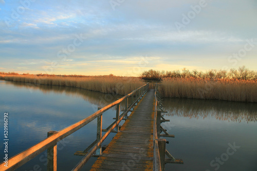Photo Wooden pontoon in the marshes of Candillargues pond in the south of Montpellier