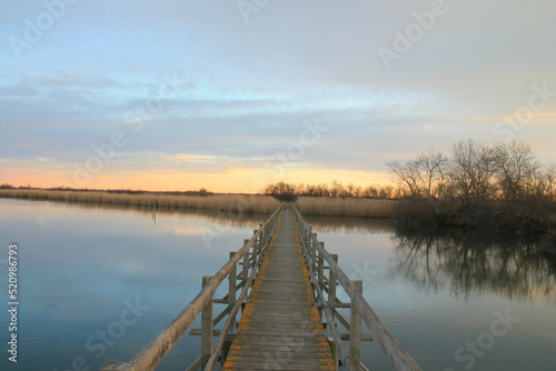 Wooden pontoon in the marshes of Candillargues pond in the south of Montpellier 