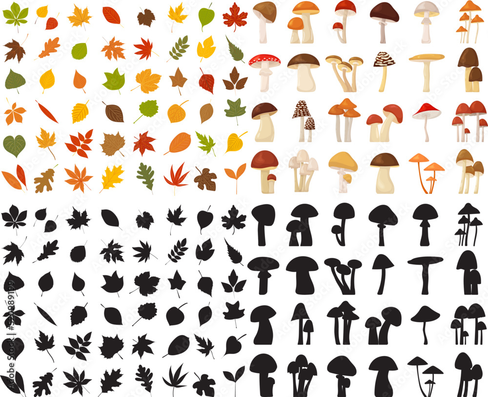 leaves and mushrooms collection in flat style, isolated, vector leaves and mushrooms collection in flat style, isolated, vector