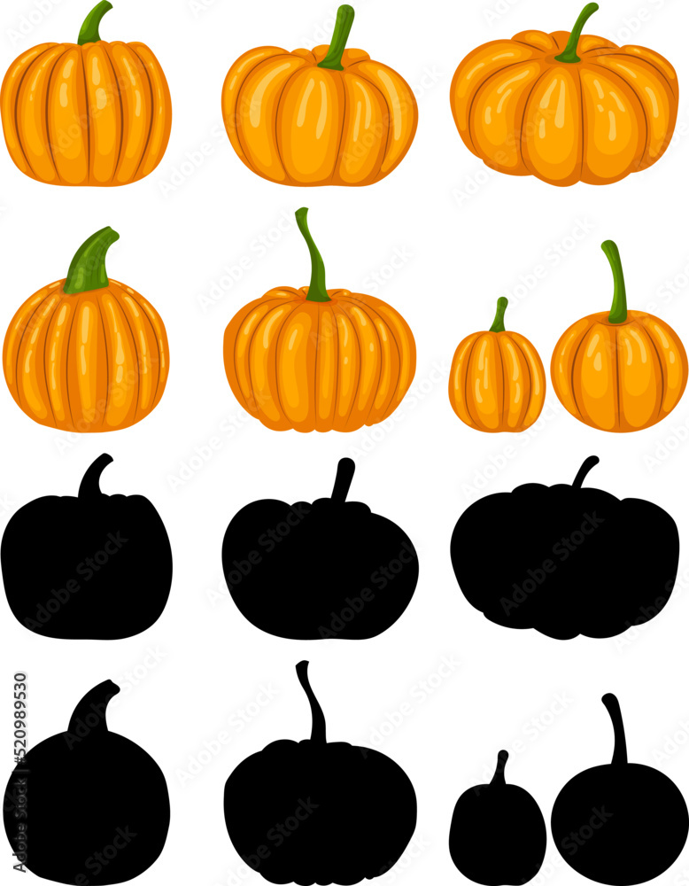 pumpkin set in flat style, isolated pumpkin set in flat style, isolated