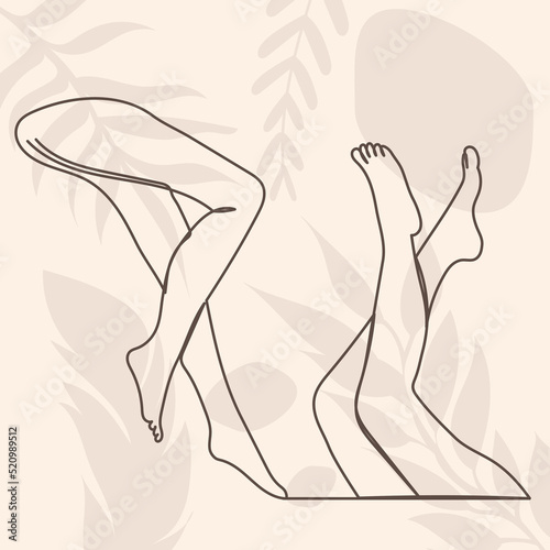 graceful female legs drawing by one continuous line vector